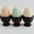 Farmhouse Eggs Set of 3