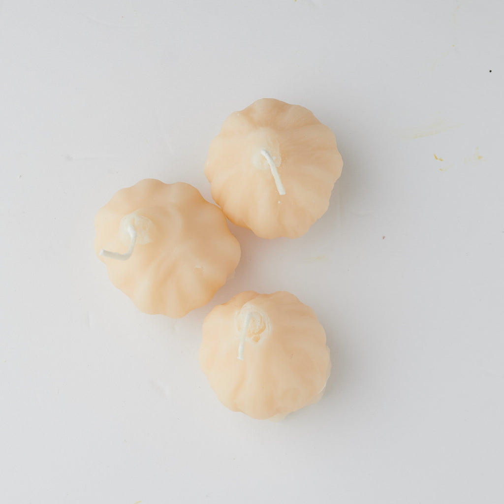 Garlic Set of 3